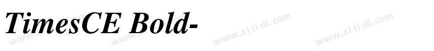TimesCE Bold字体转换